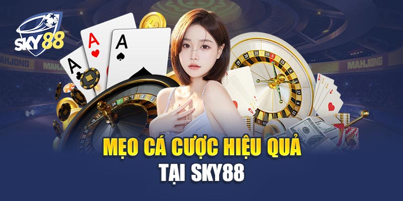 Trang chủ 7 Mẹo Cá Cược Hiệu Quả Tại Sky88